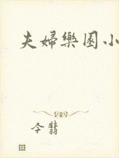 夫妇乐园小说