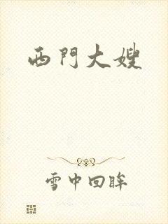 西门大嫂封面