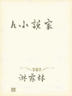 h小说家