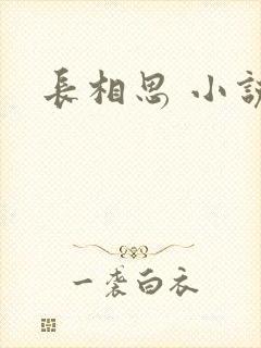 长相思 小说