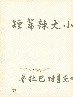 短篇辣文小说