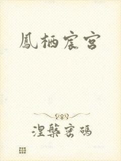 凤栖宸宫封面