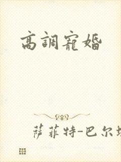 高调宠婚