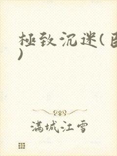 极致沉迷(臣年)封面