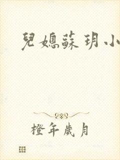 儿媳苏玥小说封面