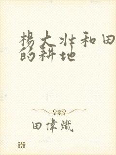 杨大壮和田桂花的耕地