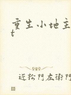 重生小地主txt