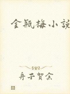 金瓶梅小说