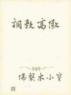 调教高傲