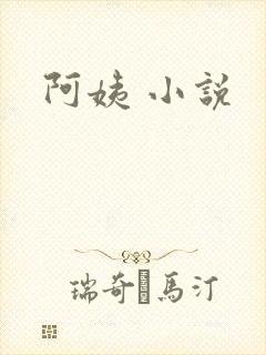阿姨 小说