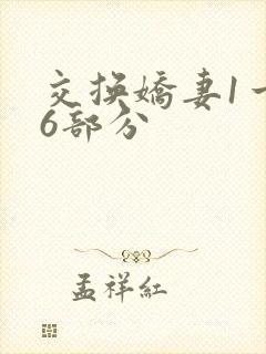 交换娇妻1一36部分