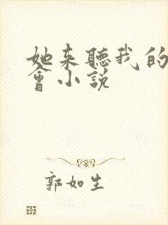 她来听我的演唱会小说