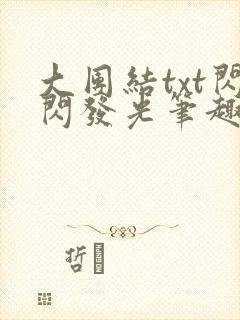 大团结txt闪闪发光笔趣阁