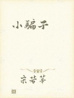 小骗子