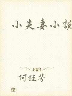 小夫妻小说封面