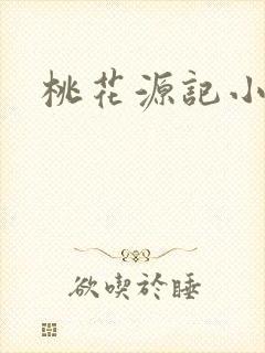 桃花源记小说封面