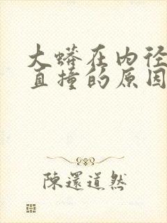 大蟒在内径横冲直撞的原因封面