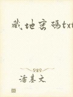 藏地密码txt