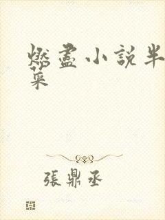 燃尽小说半截白菜