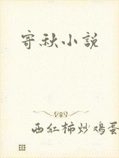 寄秋小说封面