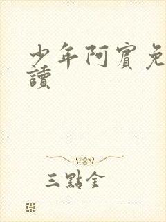 少年阿宾免费阅读