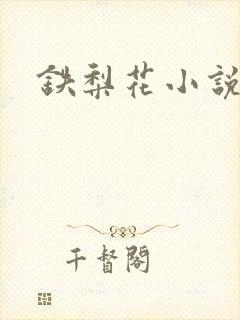铁梨花小说封面