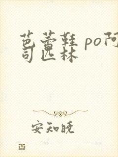 芭蕾鞋 po阿司匹林