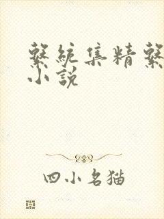系统集精系统 小说封面