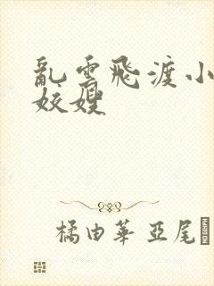 乱云飞渡小说之姣嫂