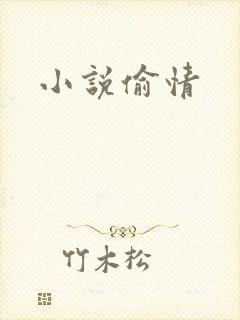 小说偷情封面
