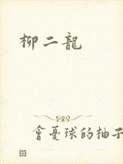 柳二龙