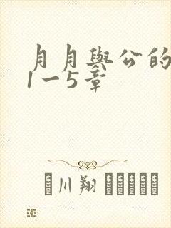 月月与公的激情1一5章