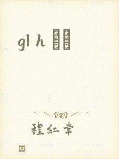 gl h С˵封面