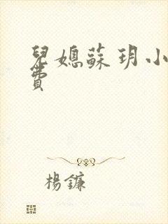 儿媳苏玥小说免费封面