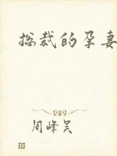 总裁的孕妻封面