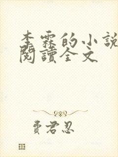 李霖的小说免费阅读全文