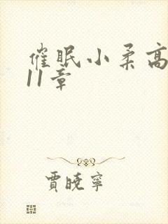 催眠小柔高达第11章封面