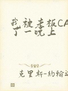 我被老板CAO了一晚上