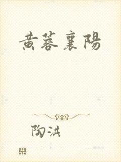 黄蓉襄阳封面
