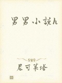 男男小说h