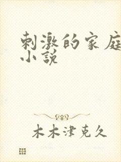 刺激的家庭乱仑小说