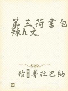 第三荷书包网高辣h文