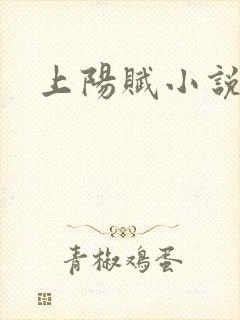 上阳赋小说