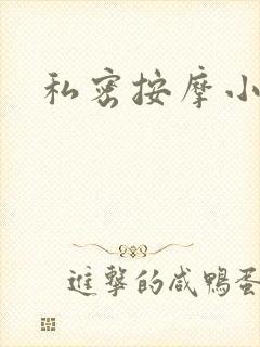 私密按摩小说