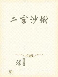 二宫沙树