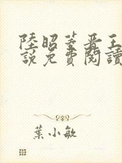 陆昭菱晋王的小说免费阅读