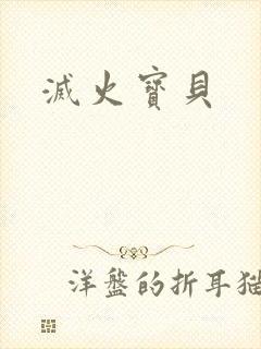 灭火宝贝