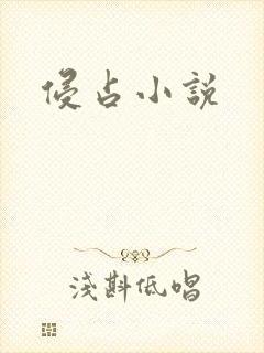 侵占小说