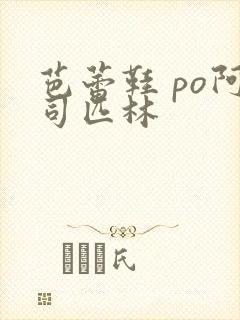 芭蕾鞋 po阿司匹林