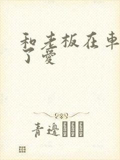 和老板在车里做了爱封面
